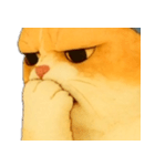 ニャンニャンの顔のクローズアップ（個別スタンプ：2）