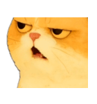 ニャンニャンの顔のクローズアップ（個別スタンプ：14）