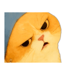 ニャンニャンの顔のクローズアップ（個別スタンプ：24）