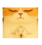 ニャンニャンの顔のクローズアップ（個別スタンプ：34）
