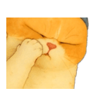 ニャンニャンの顔のクローズアップ（個別スタンプ：38）