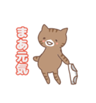 ねこねこの住み家・猫のいる暮らし（個別スタンプ：13）