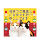 かわいい猫写真♪敬語でお正月【再販】（個別スタンプ：9）