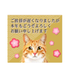 かわいい猫写真♪敬語でお正月【再販】（個別スタンプ：12）