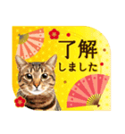 かわいい猫写真♪敬語でお正月【再販】（個別スタンプ：14）