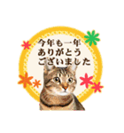 かわいい猫写真♪敬語でお正月【再販】（個別スタンプ：23）