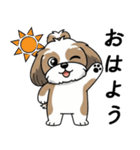 使い易いシーズーの普段使いの優しい会話（個別スタンプ：1）