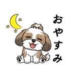 使い易いシーズーの普段使いの優しい会話（個別スタンプ：3）