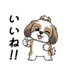 使い易いシーズーの普段使いの優しい会話（個別スタンプ：7）