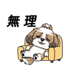 使い易いシーズーの普段使いの優しい会話（個別スタンプ：9）