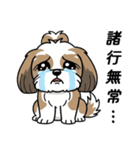 使い易いシーズーの普段使いの優しい会話（個別スタンプ：10）