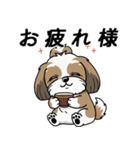 使い易いシーズーの普段使いの優しい会話（個別スタンプ：11）