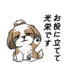 使い易いシーズーの普段使いの優しい会話（個別スタンプ：12）