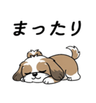 使い易いシーズーの普段使いの優しい会話（個別スタンプ：13）