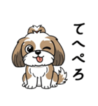 使い易いシーズーの普段使いの優しい会話（個別スタンプ：14）