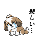 使い易いシーズーの普段使いの優しい会話（個別スタンプ：15）