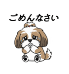 使い易いシーズーの普段使いの優しい会話（個別スタンプ：16）