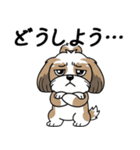 使い易いシーズーの普段使いの優しい会話（個別スタンプ：17）