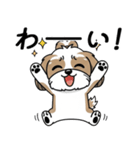 使い易いシーズーの普段使いの優しい会話（個別スタンプ：19）