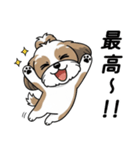 使い易いシーズーの普段使いの優しい会話（個別スタンプ：20）