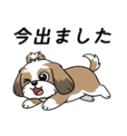 使い易いシーズーの普段使いの優しい会話（個別スタンプ：21）