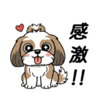 使い易いシーズーの普段使いの優しい会話（個別スタンプ：22）