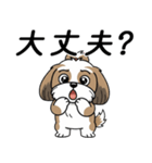 使い易いシーズーの普段使いの優しい会話（個別スタンプ：23）