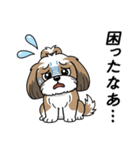 使い易いシーズーの普段使いの優しい会話（個別スタンプ：24）