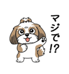 使い易いシーズーの普段使いの優しい会話（個別スタンプ：27）