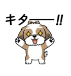 使い易いシーズーの普段使いの優しい会話（個別スタンプ：29）