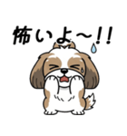 使い易いシーズーの普段使いの優しい会話（個別スタンプ：31）