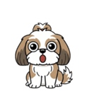 使い易いシーズーの普段使いの優しい会話（個別スタンプ：39）
