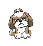 使い易いシーズーの普段使いの優しい会話（個別スタンプ：40）