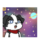 モノクロわんちゃんず（個別スタンプ：6）