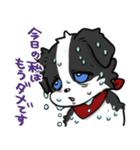 モノクロわんちゃんず（個別スタンプ：10）
