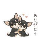 やさしいチワワ♡ほっとスタンプ（個別スタンプ：1）