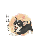 やさしいチワワ♡ほっとスタンプ（個別スタンプ：2）