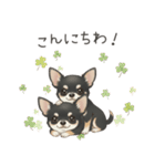 やさしいチワワ♡ほっとスタンプ（個別スタンプ：3）