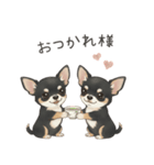 やさしいチワワ♡ほっとスタンプ（個別スタンプ：4）