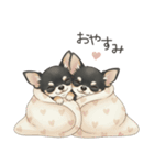 やさしいチワワ♡ほっとスタンプ（個別スタンプ：5）