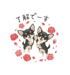 やさしいチワワ♡ほっとスタンプ（個別スタンプ：8）