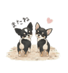やさしいチワワ♡ほっとスタンプ（個別スタンプ：10）