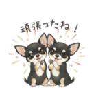 やさしいチワワ♡ほっとスタンプ（個別スタンプ：12）