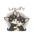 やさしいチワワ♡ほっとスタンプ（個別スタンプ：13）