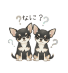 やさしいチワワ♡ほっとスタンプ（個別スタンプ：14）