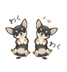 やさしいチワワ♡ほっとスタンプ（個別スタンプ：16）