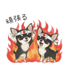 やさしいチワワ♡ほっとスタンプ（個別スタンプ：19）