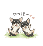 やさしいチワワ♡ほっとスタンプ（個別スタンプ：21）