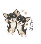 やさしいチワワ♡ほっとスタンプ（個別スタンプ：22）