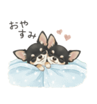 やさしいチワワ♡ほっとスタンプ（個別スタンプ：23）
